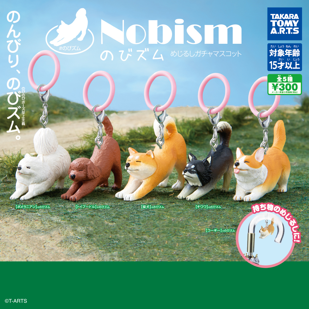 Nobism 노비즘 -메지루시 가챠 마스코트- / Nobism のびズム -めじるしガチャマスコット- 제품 이미지